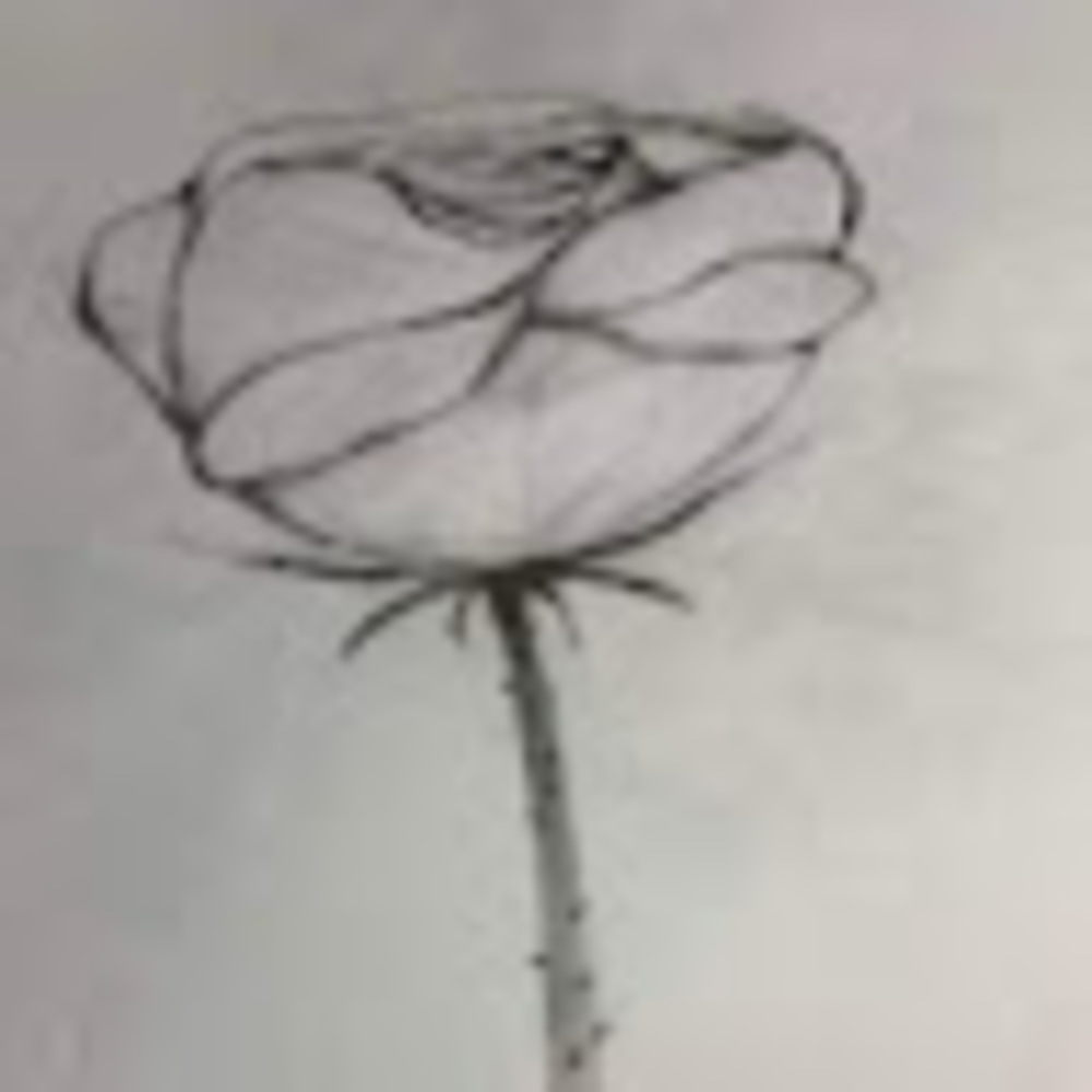 Meet your Posher, Tran